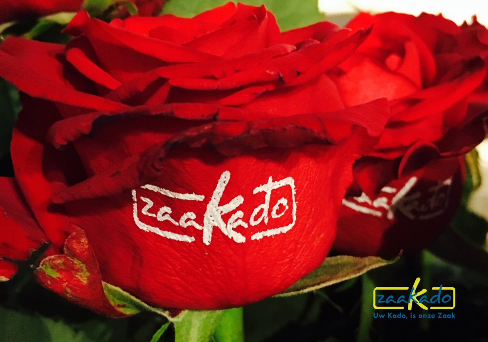 Rozen logo giveaway bloem universiteit school diploma uitreiking bloeiende relatiegeschenken opendag roos bedrukt ZaaKado Rotterdam