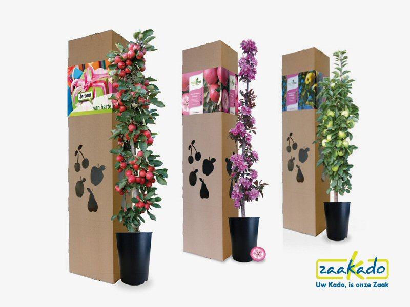 Bloeiend groeiend relatiegeschenk gepersonaliseerd full color bedrukt origineel en uniek cadeau personeel ZaaKado Rotterdam kerstpakket