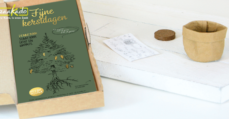 kerstboom brievenbus direct mailing kerstboom zaden groeien bloeien DIY grondtablet zaadje kerstboom kerstbomen planten oogsten kerstpakket relatiegeschenk kerstcadeau kerstkado (1)