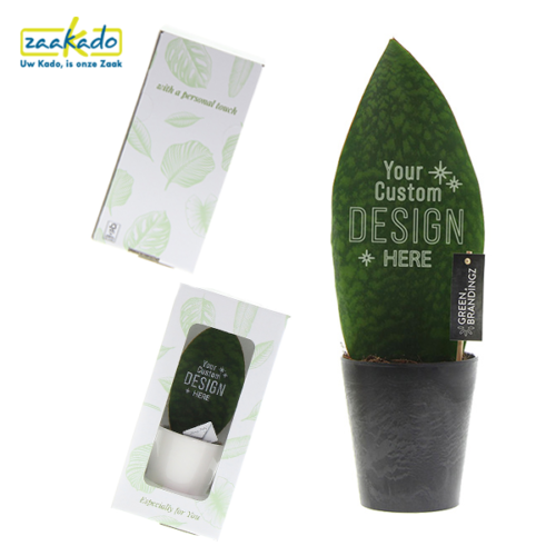 bedrukte relatiegeschenken, giveaway, duurzaam, plant, zaakado