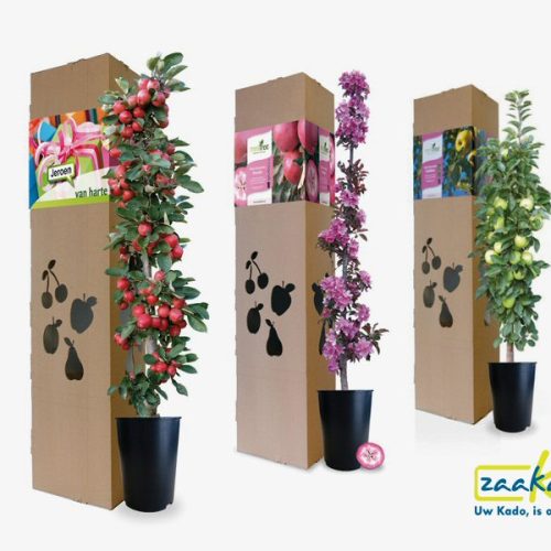 Bloeiend groeiend relatiegeschenk gepersonaliseerd full color bedrukt origineel en uniek cadeau personeel ZaaKado Rotterdam kerstpakket