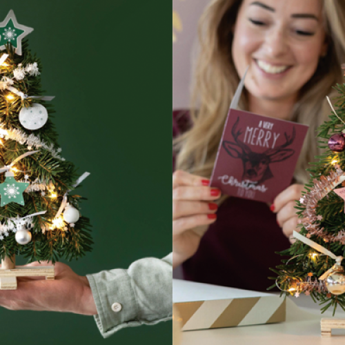 Mini-kerstboom-brievenbus-pakket-originele-kerstgeschenken-cadeau-per-post- feestdagen-uitzendbureau-groene-brievenbusgeschenken-makelaardij-bouw-winkelpersoneel-horeca-zaakado-rotterdam