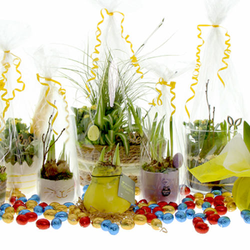 Pasen-plant-cadeau-paascadeau-groene-relatiegeschenken-paaseitjes-paasgeschenk-duurzaam-bedankje-personeel-uitzendbureau-paasplantje-voorjaar-zaakado-rotterdam