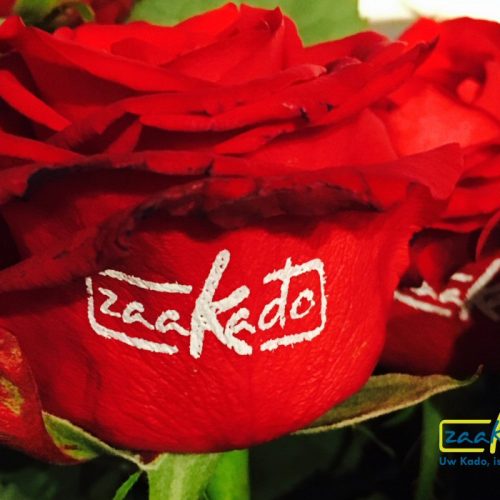 Rozen logo giveaway bloem universiteit school diploma uitreiking bloeiende relatiegeschenken opendag roos bedrukt ZaaKado Rotterdam