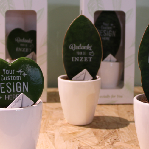 bedrukte-relatiegeschenken-planten-met-logo-groene-geschenken-eco-duurzaam-bedankje-personeel-promotie-item-mvo-bedrijven-op-bureau-zaakado-rotterdam