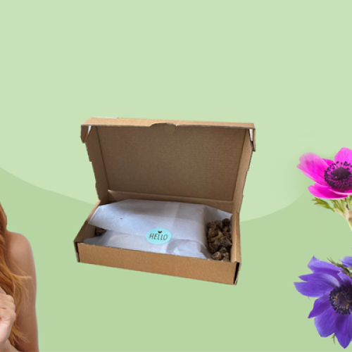 bloemen-brievenbuscadeau-medewerkers-bedanken-relatiegeschenk-brievenbus-bloembollen-zonnebloem-waardering-bedankt-verrassing-duurzaam-cadeau-corona-thuiswerken-zaakado-rotterdam