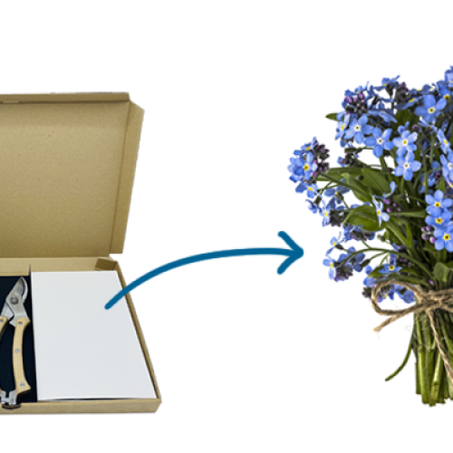 bloemen-cadeau-brievenbus-bloemzaden-dank-je-wel-bedankje-personeel-voorjaar-lente-tuinschaar-dames-vrouwen-groen-per-post-zaakado-rotterdam