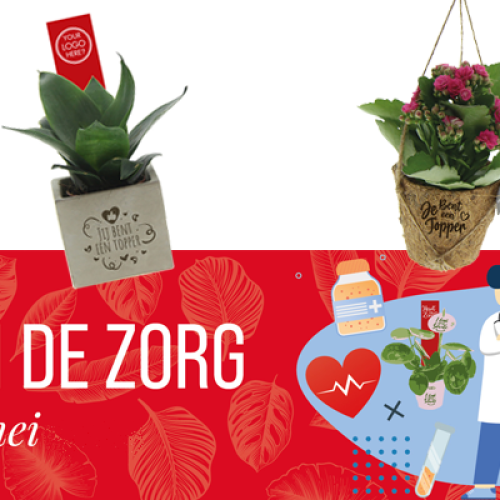 dag-van-de-zorg-verpleging-12-mei-plant-groen-zorgpersoneel-bedankje-personeel-zorginstelling-verrassing-medewerkers-huisartsenpost-ziekenhuis-zaakado-rotterdam
