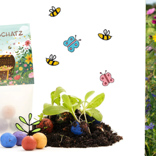 groeibollen-zomer-lente-kleurrijk-cadeau-duurzaam-groene-relatiegeschenken-buiten-giveaway-goodiebag-seizoen-school-ontwikkeling-leren-groeien-uitzendbureau- zaakado-rotterdam