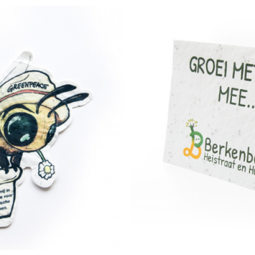groeipapier, zaadpapier, zaakado, rotterdam, brievenbuscadeau, bloemen, kaartje, post