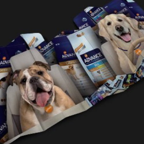 honden, auto, bescherming, frisse lucht, schaduw, zonnescherm, zomer, autodealer, grappig, promotieartikel, relatiegeschenk, leaseauto, hondenvoer, bedrukken, personaliseren, zaakado, rotterdam