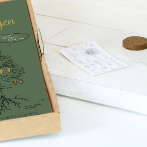kerstboom brievenbus direct mailing kerstboom zaden groeien bloeien DIY grondtablet zaadje kerstboom kerstbomen planten oogsten kerstpakket relatiegeschenk kerstcadeau kerstkado (1)