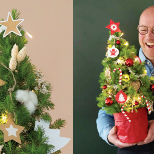 kerstboom-zakelijk-cadeau-kerstcadeau-personeel-kantoor-groen-kerstgeschenk-verrassing-kerst-zelf-versieren-boompje-planten-uitzendbureau-callcenter-zaakado-rotterdam