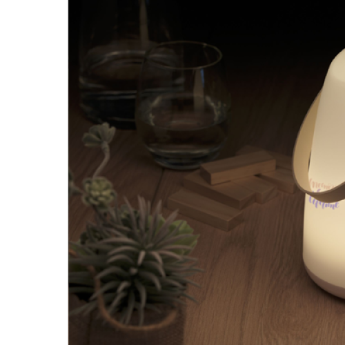 lamp-met-logo-zomergeschenk-zomervakantie-bedankje-personeel-sfeerlicht-outdoor- moodlight-uitzendbureau-recreatie-horeca-halogeen-lamp-zaakado-rotterdam