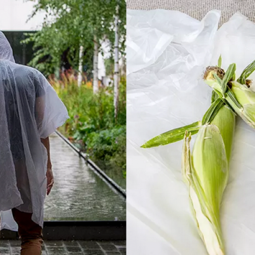 mais-poncho-regenjas-biologisch-afbreekbaar-mais-duurzame-give-away-promotie-item-duurzaam-weggever-herfst-maiszetmeel-eetbaar-zaakado-rotterdam