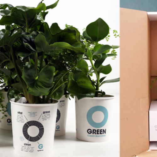 planten-duurzaam-relatiegeschenk-groene-zakelijke-geschenken-gezond-gebaar-duurzame-bedankjes-kantoor-nieuwjaarsgeschenk-uitzendbureau-callcenter-goed-begin-zaakado-rotterdam