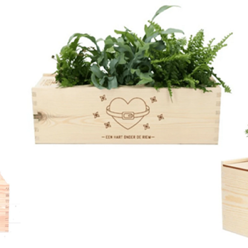 planten-in-box-houten-wijnkist-groene-relatiegeschenken-duurzaam-thuiswerkers-gezond-lente-groeien-ontwikkelen-bedankje-personeel-kerstboom-met-verlichting-zaakado-rotterdam
