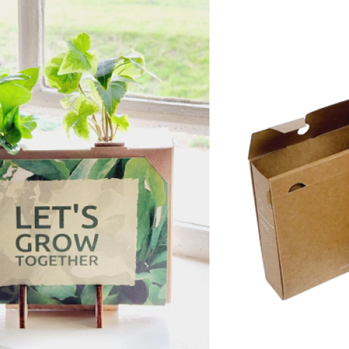 plantje-brievenbus-cadeau-mini-plant-bloompost-groen-geschenk-duurzaam-samen-groeien-klantenbinding-bureau-cadeau-zomer-brievenbuspost-per-post-zaakado-rotterdam