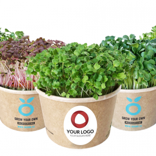 tuinkers-pakket-brievenbuscadeau-envelop-cress-gezonde-giveaway-groene-relatiegeschenken-bedankje-personeel-thuiswerkers-zelf-gekweekt-bedrukt-met-logo-zaakado-rotterdam